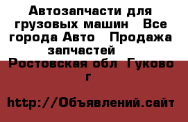 Автозапчасти для грузовых машин - Все города Авто » Продажа запчастей   . Ростовская обл.,Гуково г.